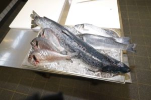 Lions-Club-Cuxhaven-Lions-kocht9